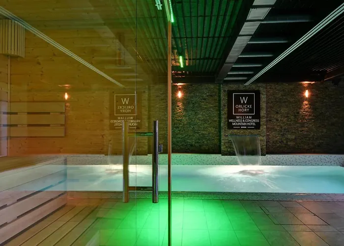 William Congress&Wellness Mountain Hotel ****
