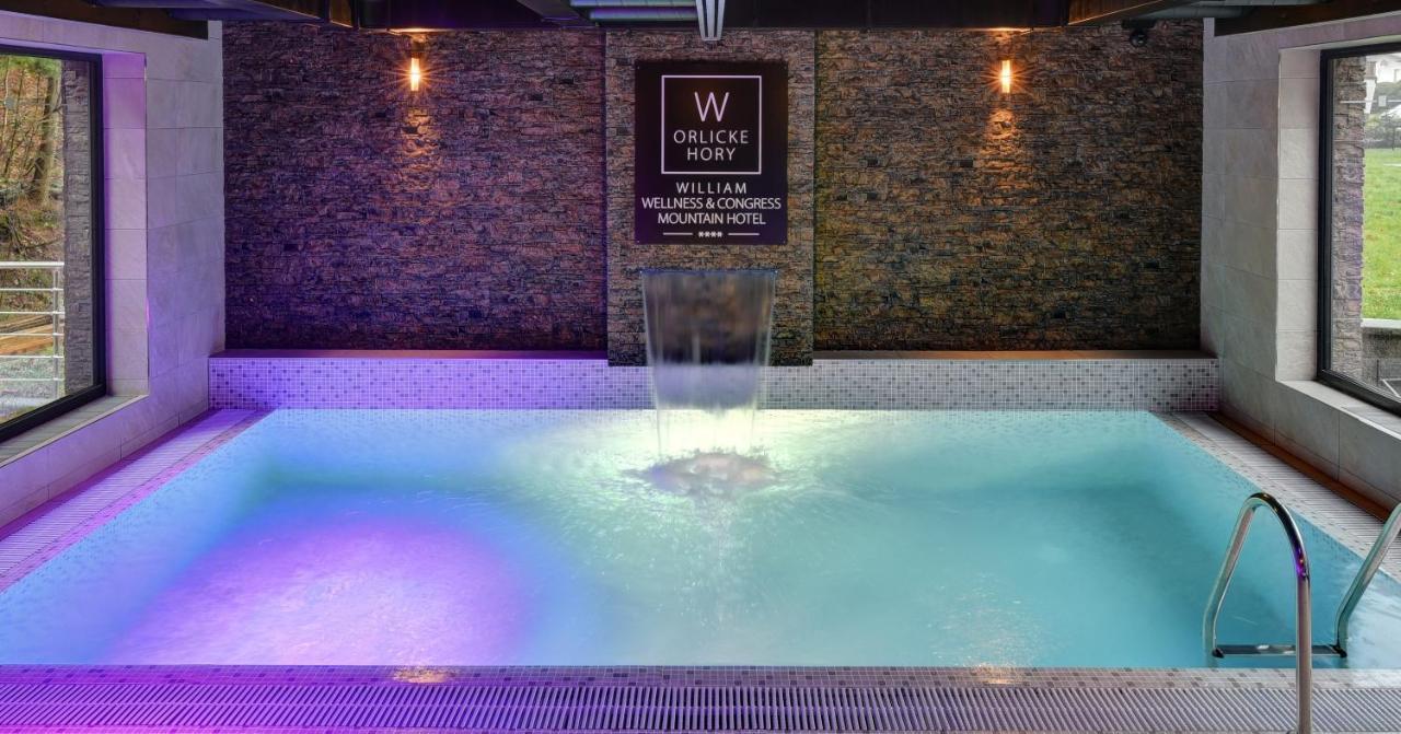 William Congress&wellness Mountain **** 4* Destne v Orlickych horach